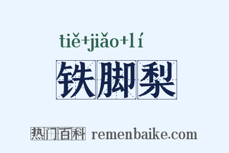 铁脚梨是什么意思的图片